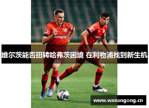 维尔茨能否扭转哈弗茨困境 在利物浦找到新生机