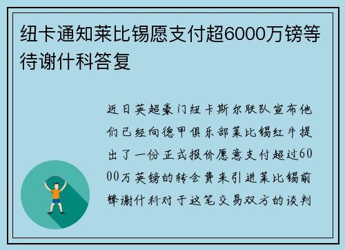 纽卡通知莱比锡愿支付超6000万镑等待谢什科答复