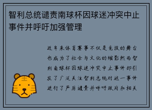 智利总统谴责南球杯因球迷冲突中止事件并呼吁加强管理